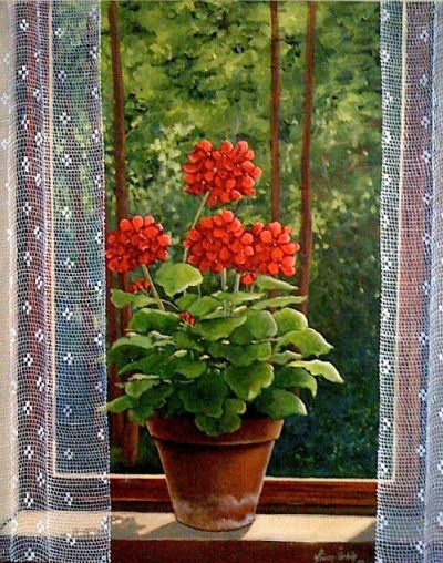 Geranium-in-window-with-curtain-love