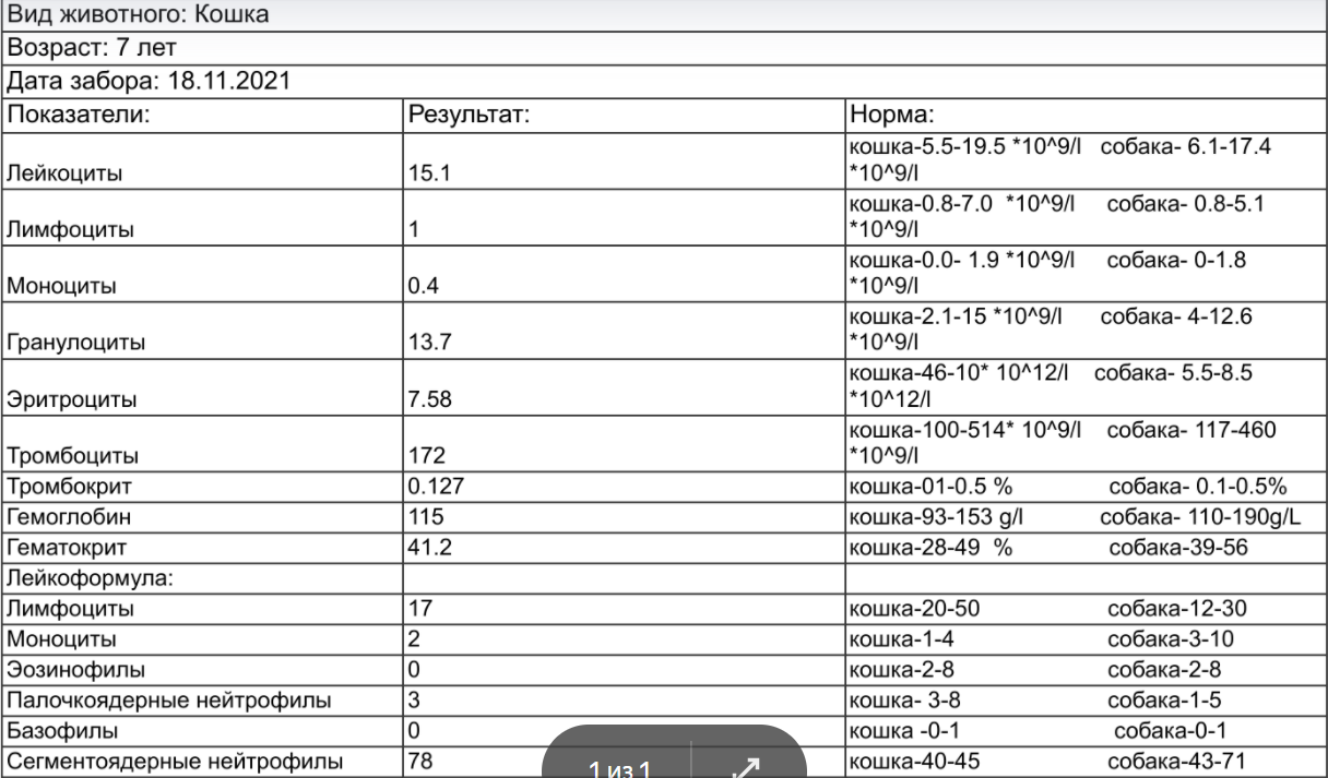 19_11_2021 ОАК лейкоформула