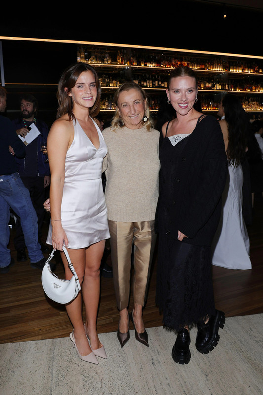 emmawatson-updates.com (4)