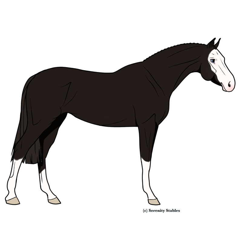 Untitled440-20240514222159.png
