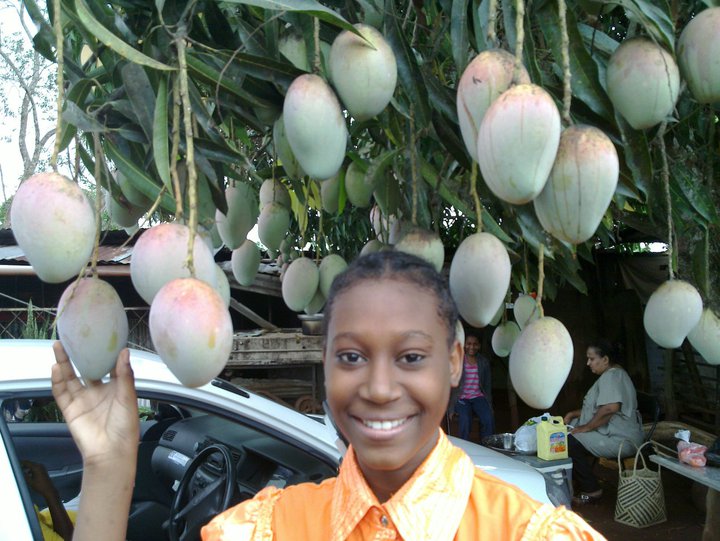 mangoes