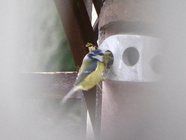 86D361E9-8379-4777-A039-66CFB973289A