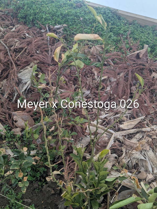 PXL 20260220 172904155 2