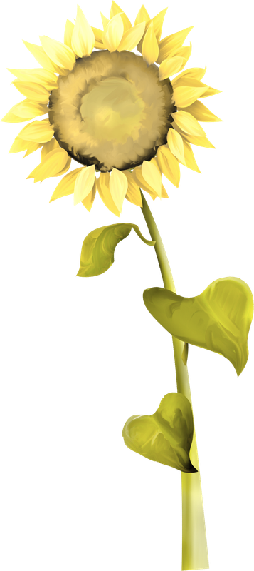 emeto_summer playground_sunflower 1
