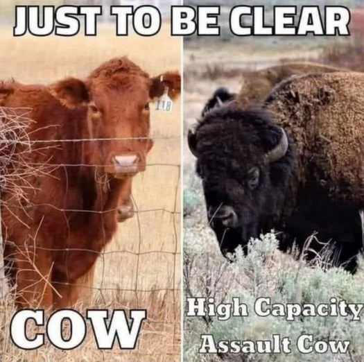 fpa1aw55.png