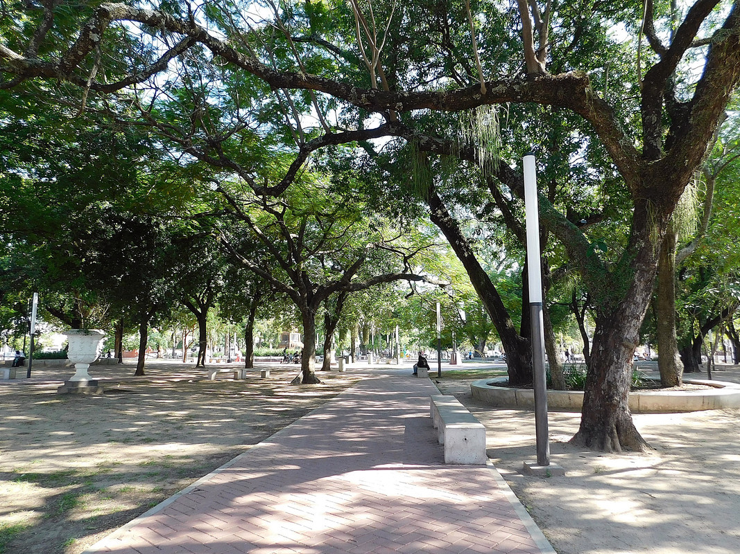 DSCN0229.jpg