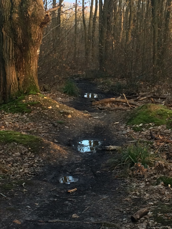 7235E3A0-F52D-4601-92C7-ADA7171EAFB2