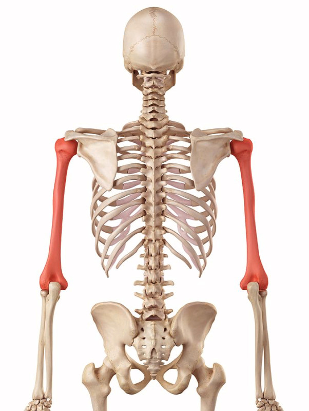 4-DC11-FE1-511-D-4337-9-D08-0-D73595-DE0