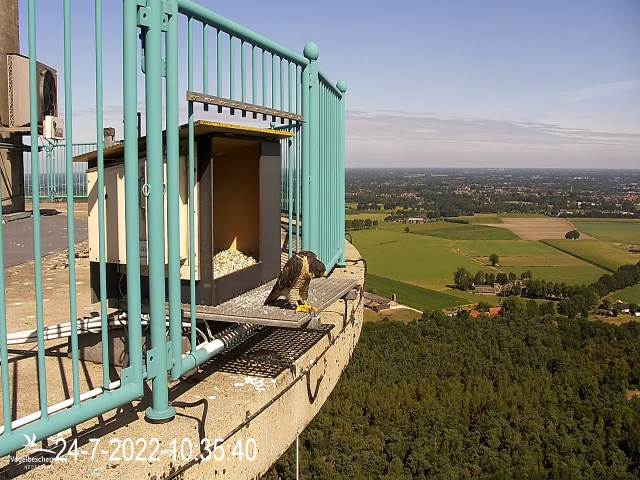 campics © VWGGemert vanaf 1 juli 2022 - Pagina 7 5