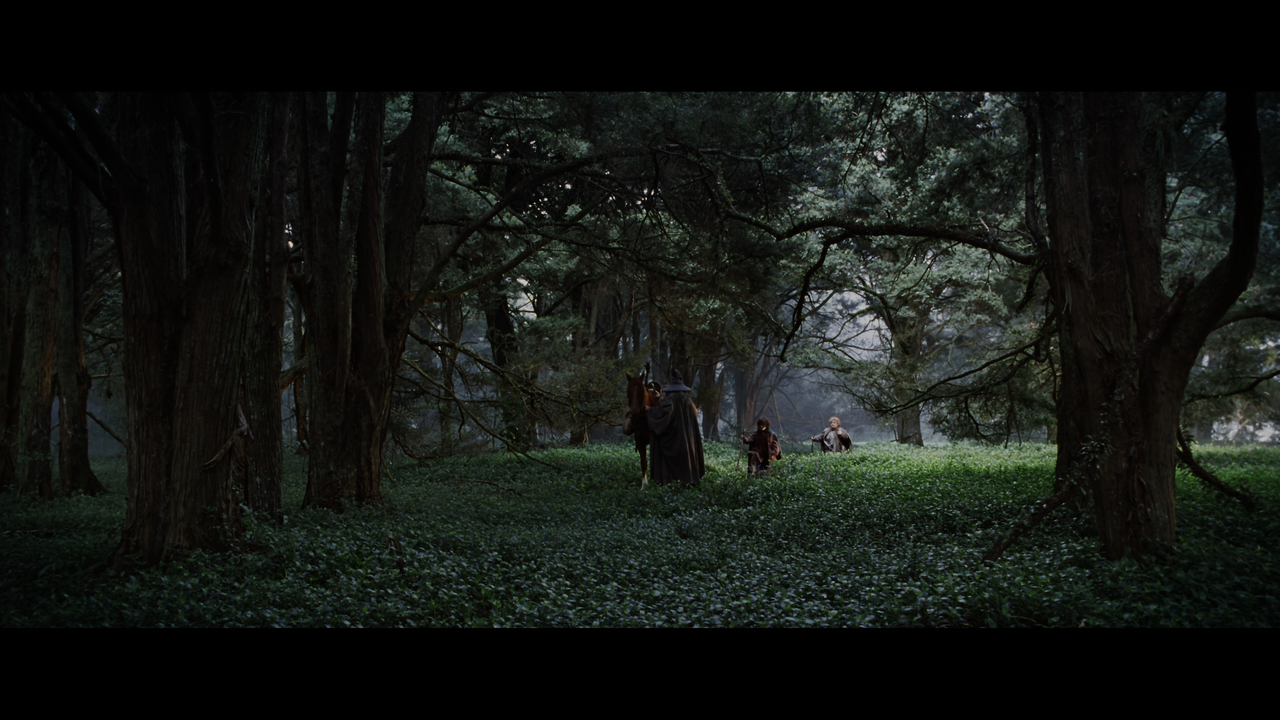 The Lord of the Rings- The Fellowship of the Ring (EXT.) PT. 1.mkv_snapshot_00.43.23_[2020.12.05_22.
