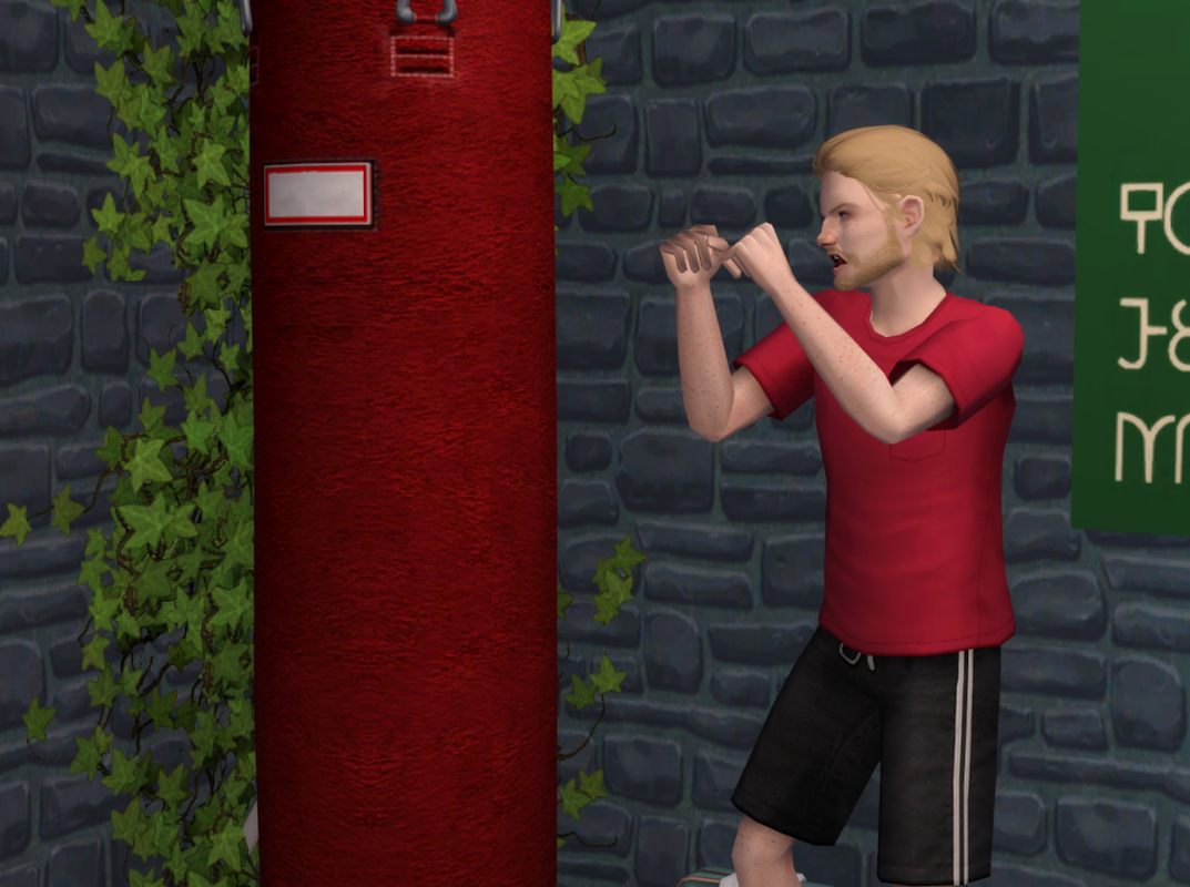 Sims2-EP9-RPC-2023-09-03-20-25-36-59
