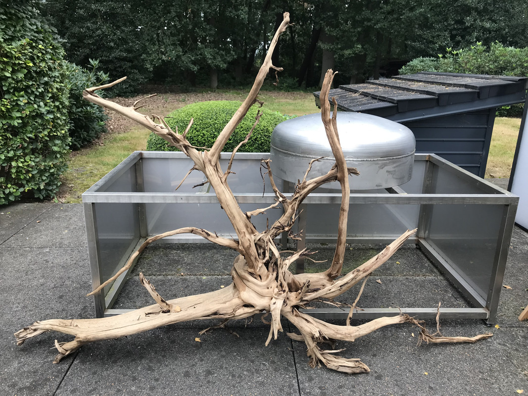 C6C5E093-254E-4787-85BF-FE302313FF2E