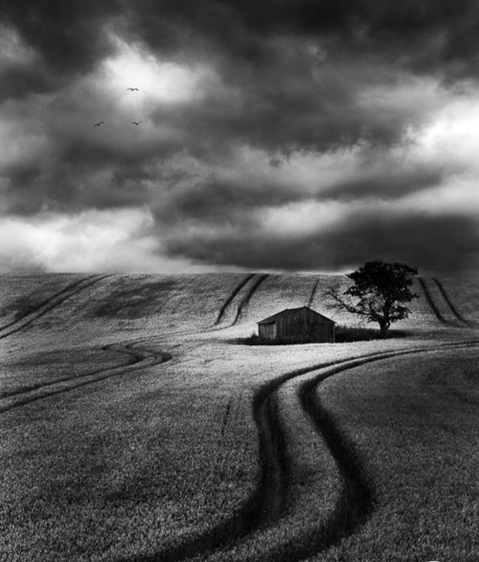 Screenshot_20230125_205929_Chrome