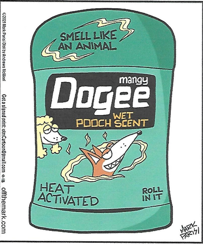 Off the Mark Wacky Package - Dogee