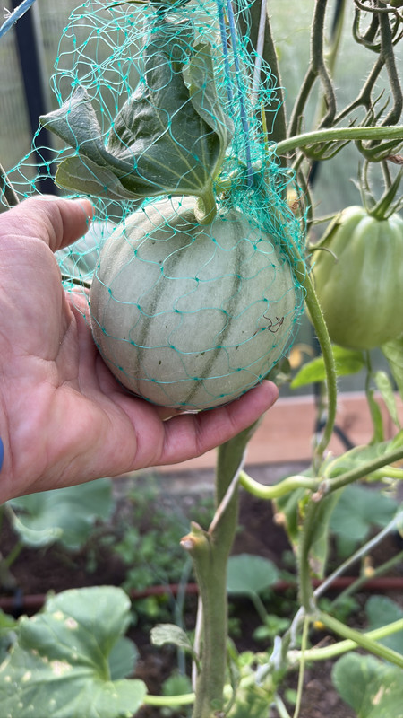 CA955097-CB25-4081-9BC6-AF92FCD48935