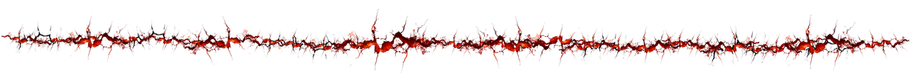 RIO-divider.png