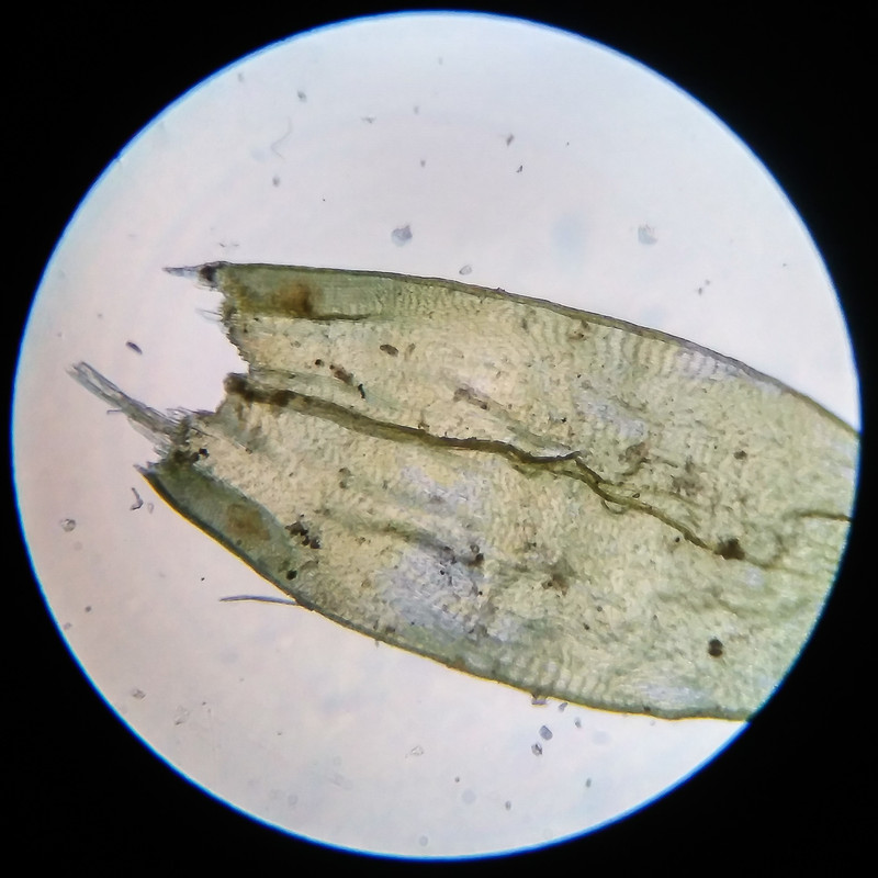 IMG 20250616 211230 HDR