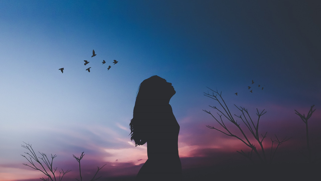Shadow Girl Wallpaper Wallpaper Desktop