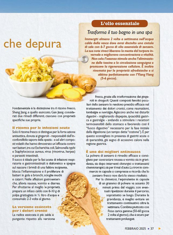 Sal Nat Feb 2025 (4)