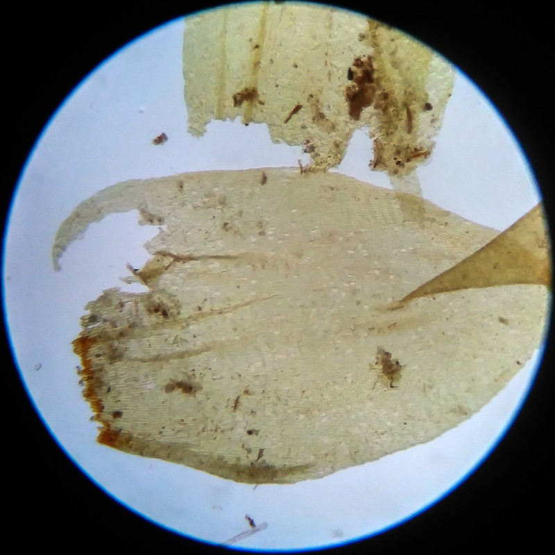 IMG 20250617 105222 HDR