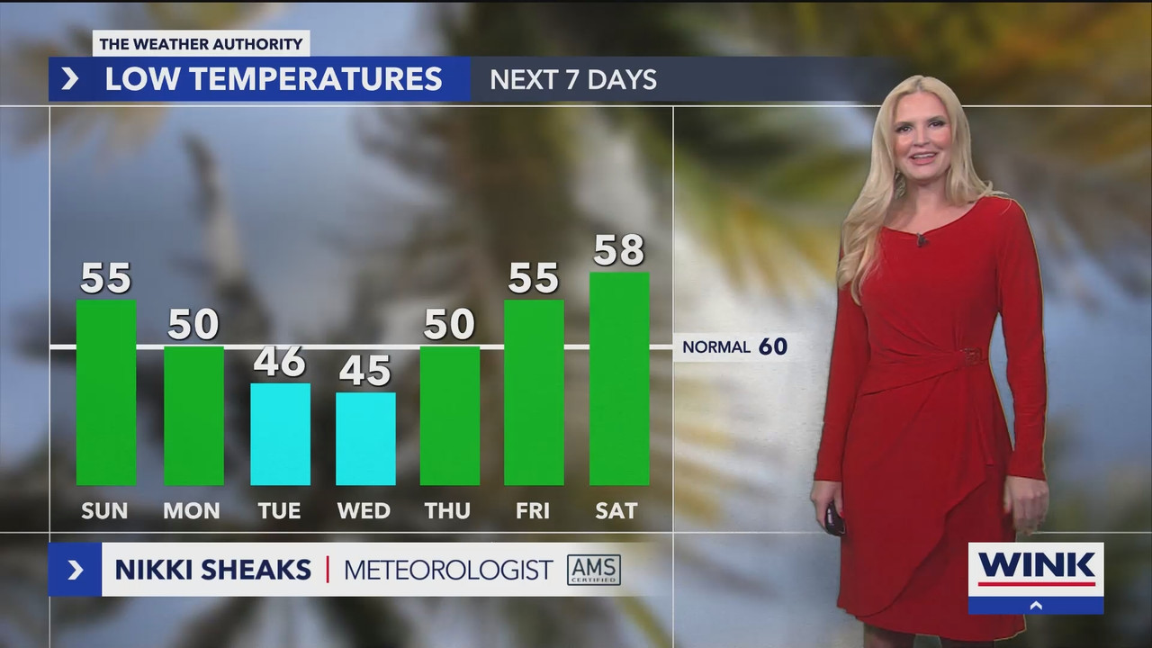 WINK News at 11_20241201_04000500.ts_snapshot_00.01.34.590