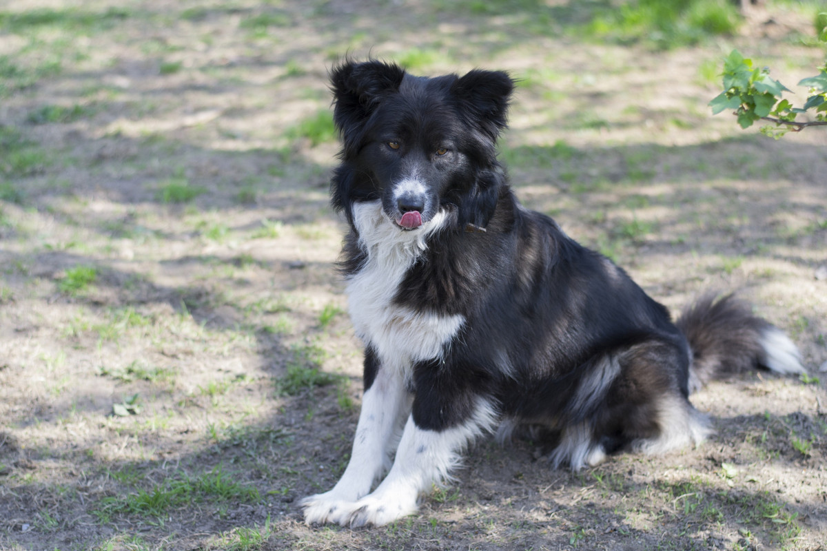 Фортуна_04_19_м9