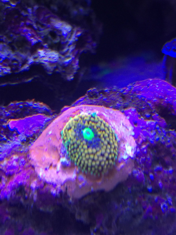 3E947CE7-FF74-4755-B86E-A57A13983913