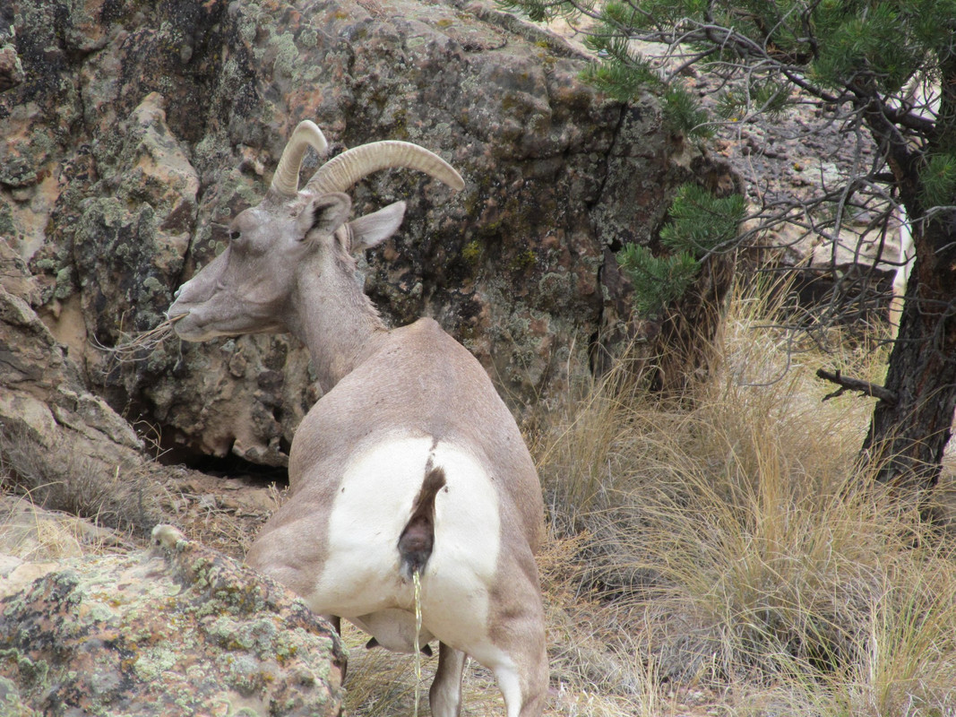 202540_3984512945744_939045864_o