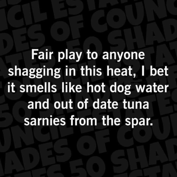 [Image: image-24.jpg]