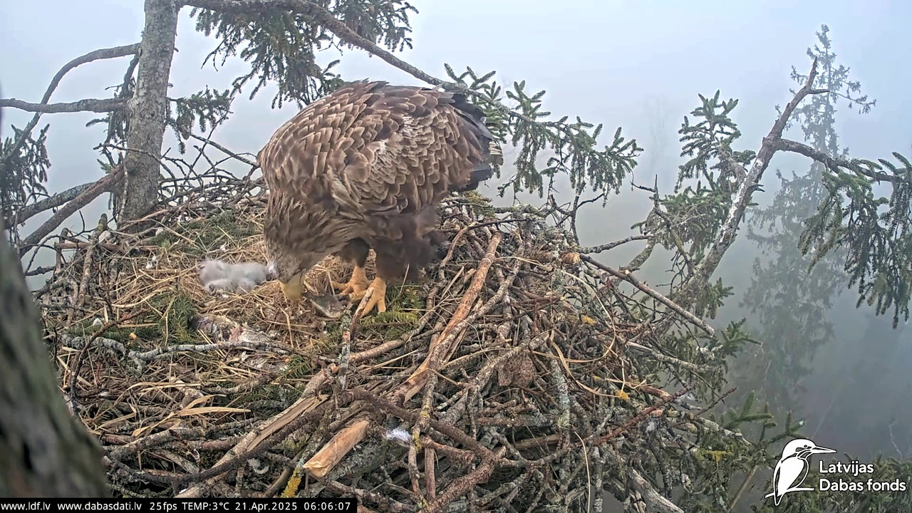 vlcsnap-2025-04-21-07h27m44s798