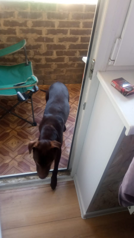 922725CB-4722-4E1A-9378-00C258193D7E