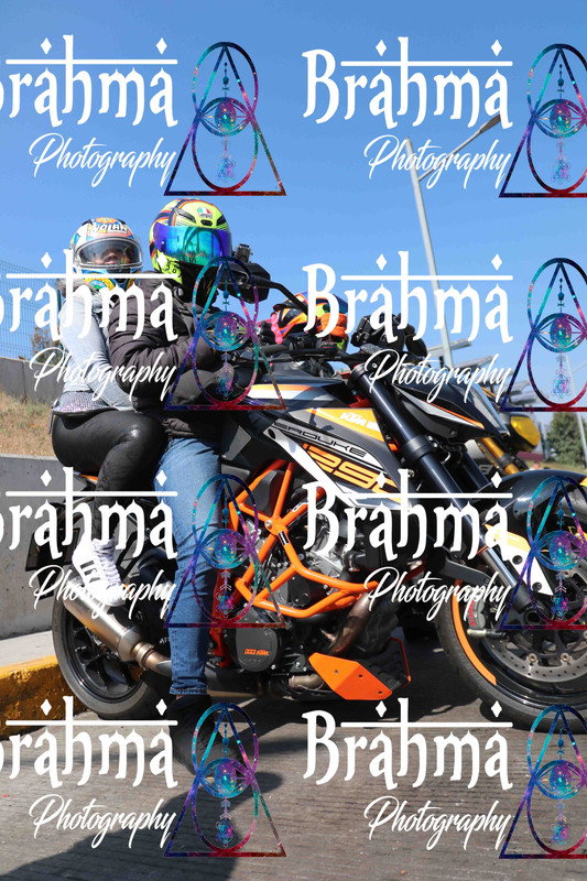 IMG 7604 — Postimages
