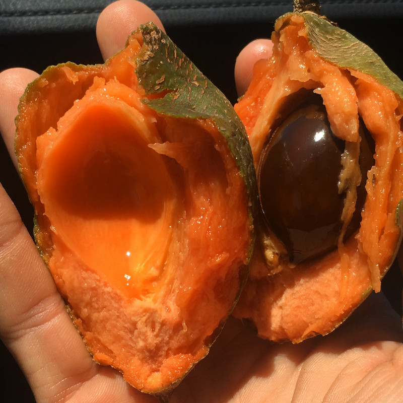 47E8BF62-A550-4AD0-8331-A665434AA525