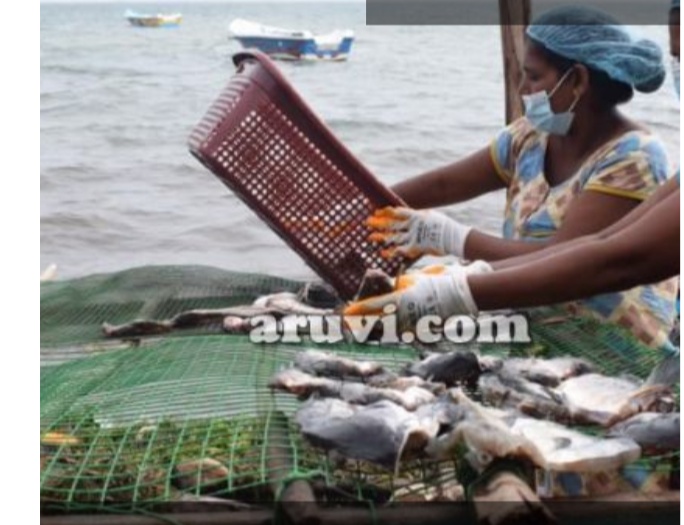 Screenshot-2020-11-19-12-14-53-495-com-a