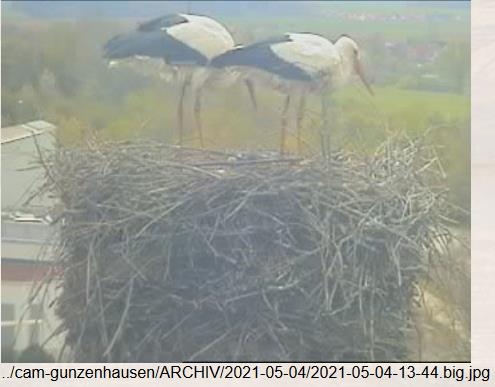 2021-05-04-1344-2Kü