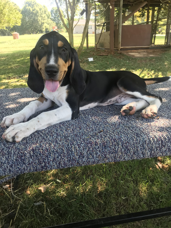 52C2D783-DC28-4A77-AFD6-260800E29AB7