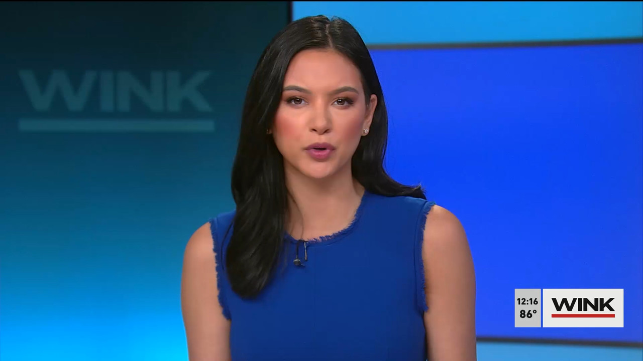 The WINK Noon News 2022_05_17_17_00_00.ts_snapshot_22.44.352