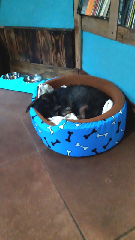 [Image: IMG-20240313-WA0000.jpg]