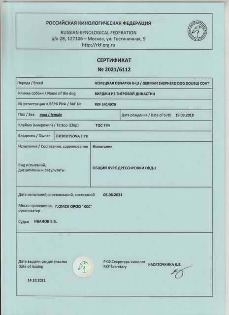 Вирджи ОКД 2 8.08.21