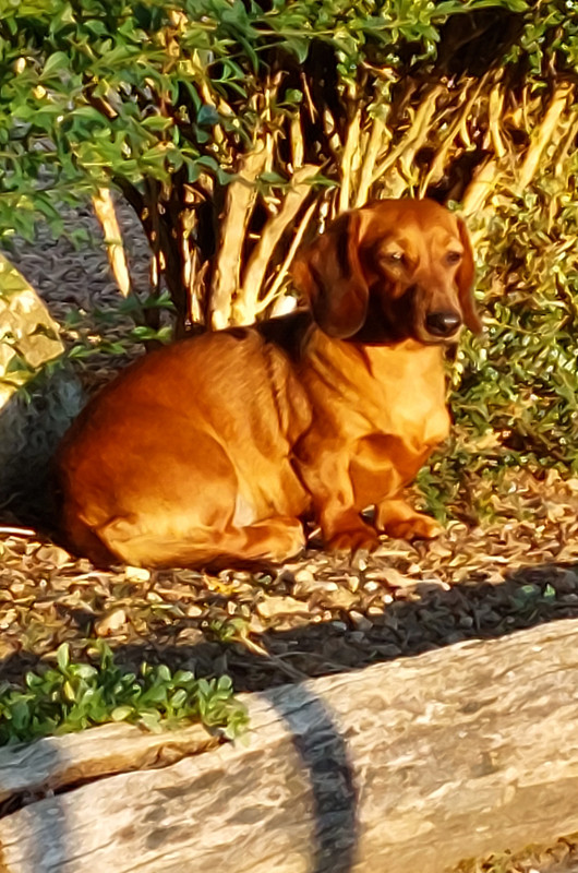 [Image: 20250808-073549.jpg]