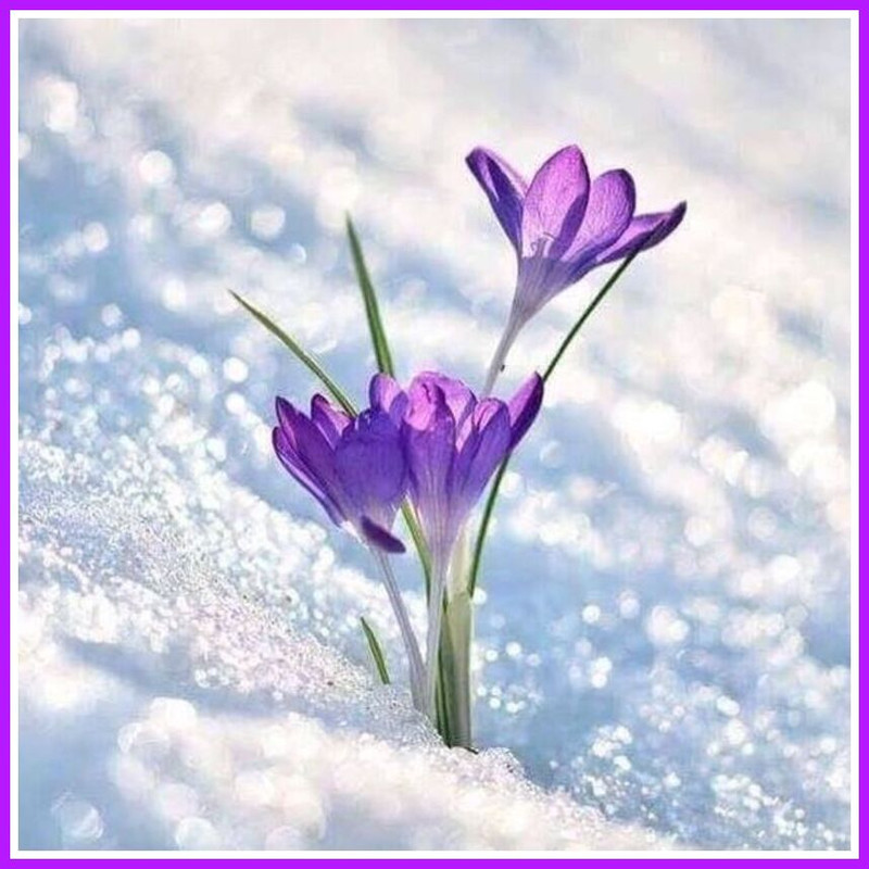 6F7979A9-7442-4EA7-B35F-12CF0626F857