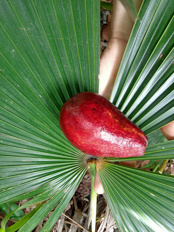 IMG20210827111240_00