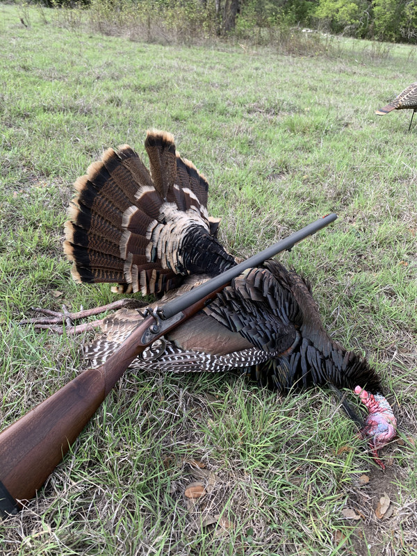 1A0B3E8F-202C-448A-BB48-EF1B2F289C4C