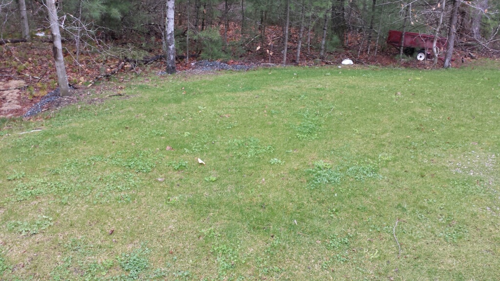 20140427_122653_resized