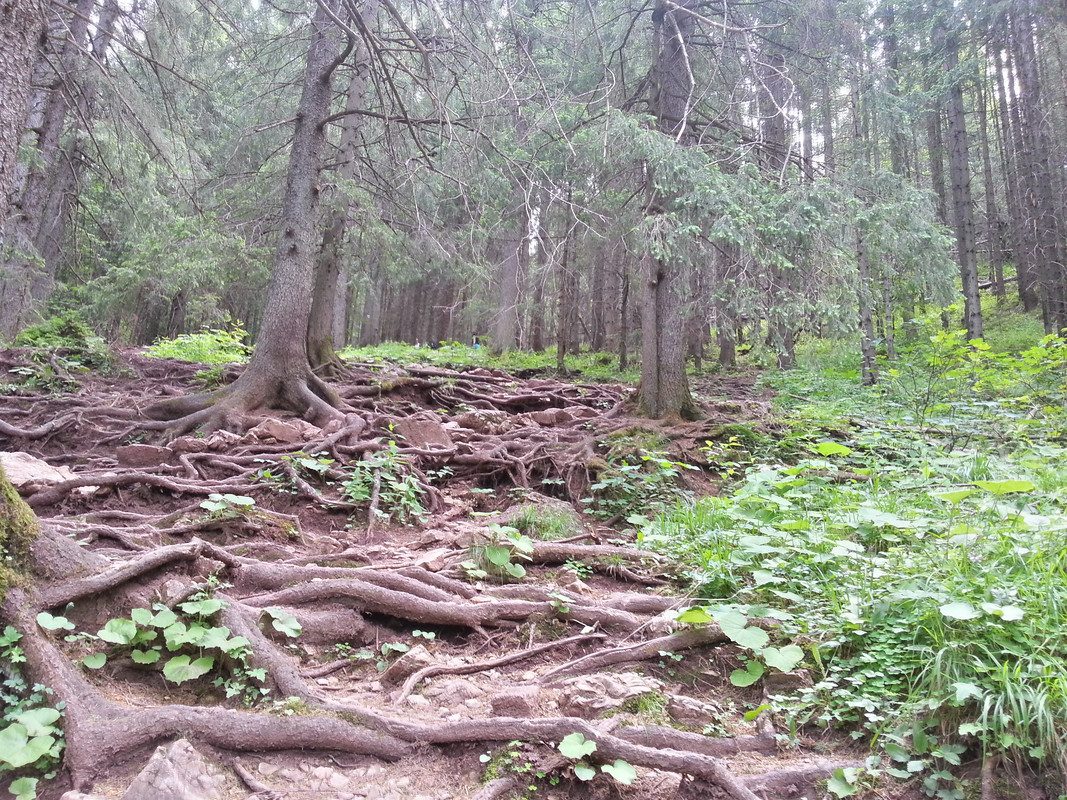 02.09 - 20180531_114954_HDR (VdL)