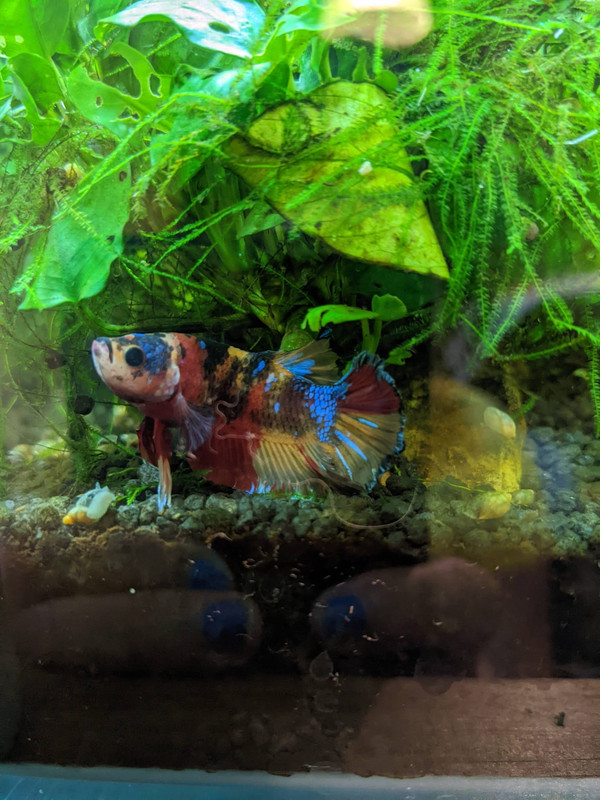 WhatsApp Image 2023-07-19 at 10.13.50 (1)