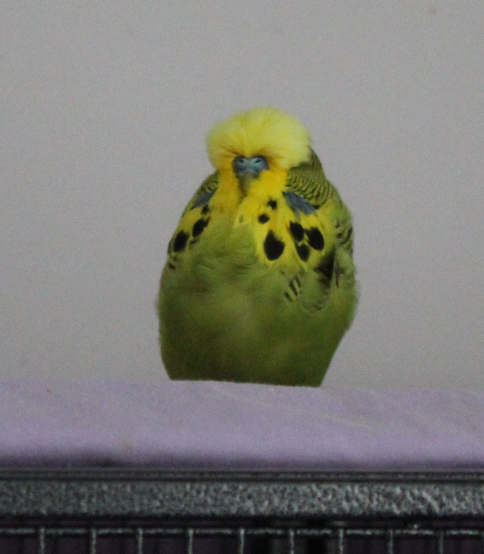 20231001145815 img 1176 — Postimages