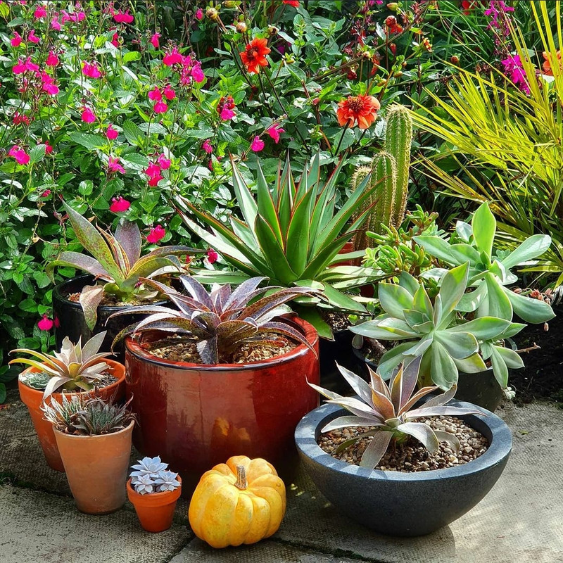 Screenshot_20210209-160501_Instagram