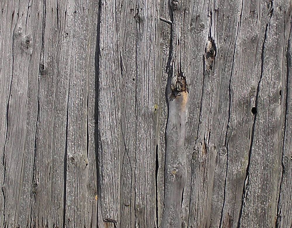 wood-texture-3dsmax-149