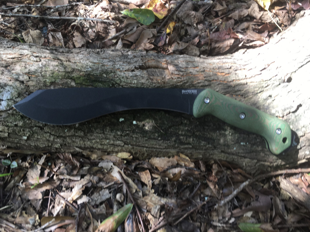 16B6F36C-D47C-48AA-B5F0-EF9805C2B53B